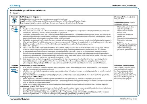 ACE Cerflunio Bowlenni clai f1001