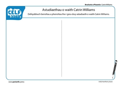 CW Braslunio a Phaentio Bywyd Llonydd f1002