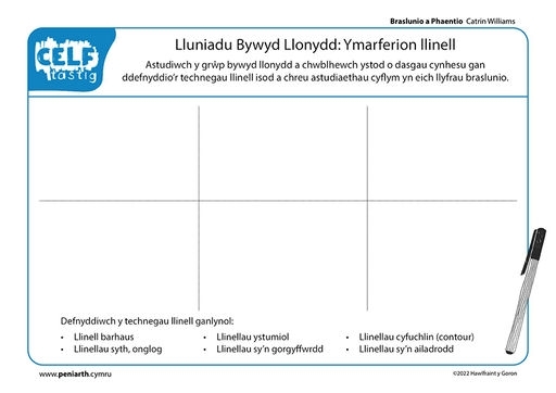 CW Braslunio a Phaentio Bywyd Llonydd f1003