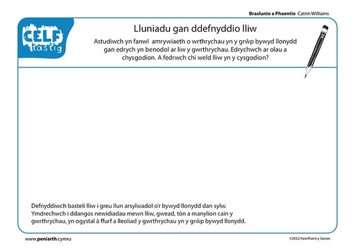 CW Braslunio a Phaentio Bywyd Llonydd f1005