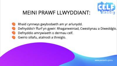 Cyfweliad Slide3 optimised