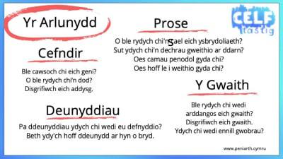 Cyfweliad Slide4 optimised