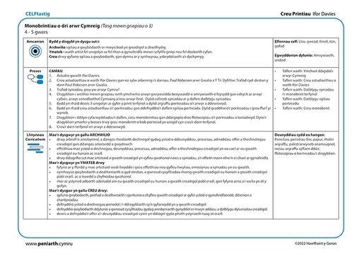 ID Creu Printiau Monobrintiau f1001