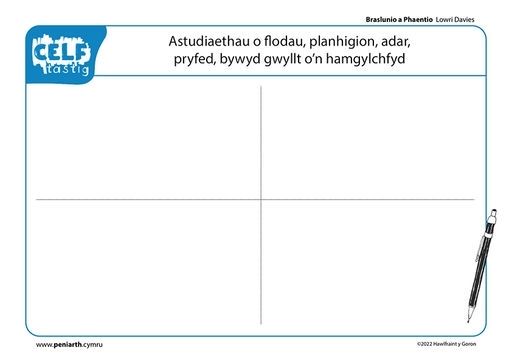 LD Braslunio a Phaentio Lluniadau o fywyd gwyllt f1003