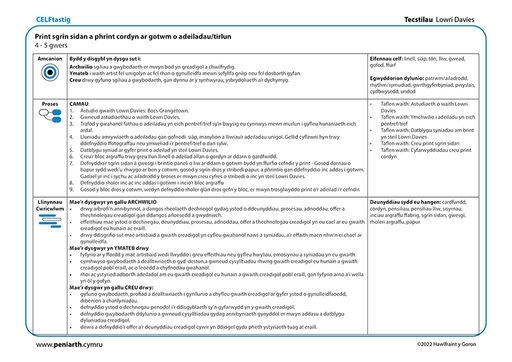 LD Tecstiliau Print sgrîn sidan a phrint cordyn f1001