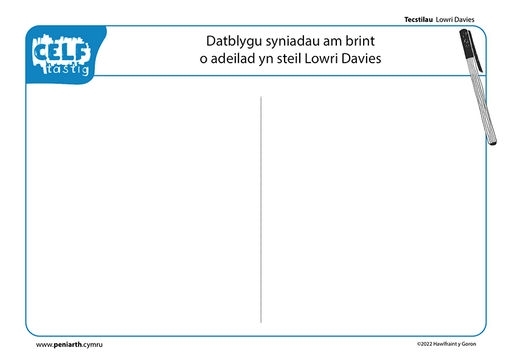 LD Tecstiliau Print sgrîn sidan a phrint cordyn f1004