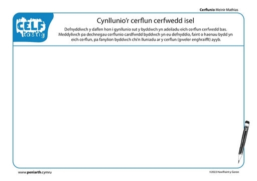 MM cerflunio Portread Cerffwedd bas cardfwrdd f1006