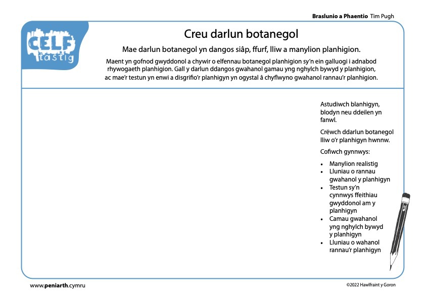 TP Braslunio a Phaentio Lluniadu Arsylwadaol yn yr Amgylchfyd 3