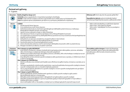 TS Aml gyfrwng Portread ddigidol f1001